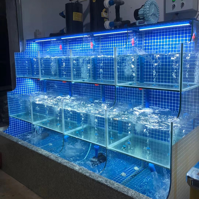大型海鲜市场/超市生鲜区阶梯式海鲜池定制