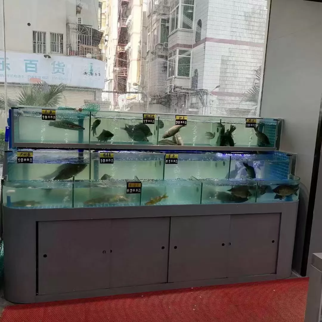 三层弧形柜体商用餐饮活鱼暂养缸定制