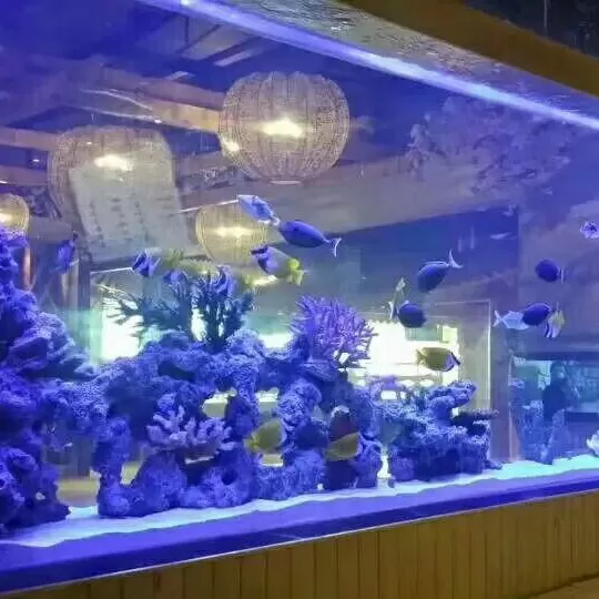 落地长款木纹底柜大型亚克力观赏鱼缸定制