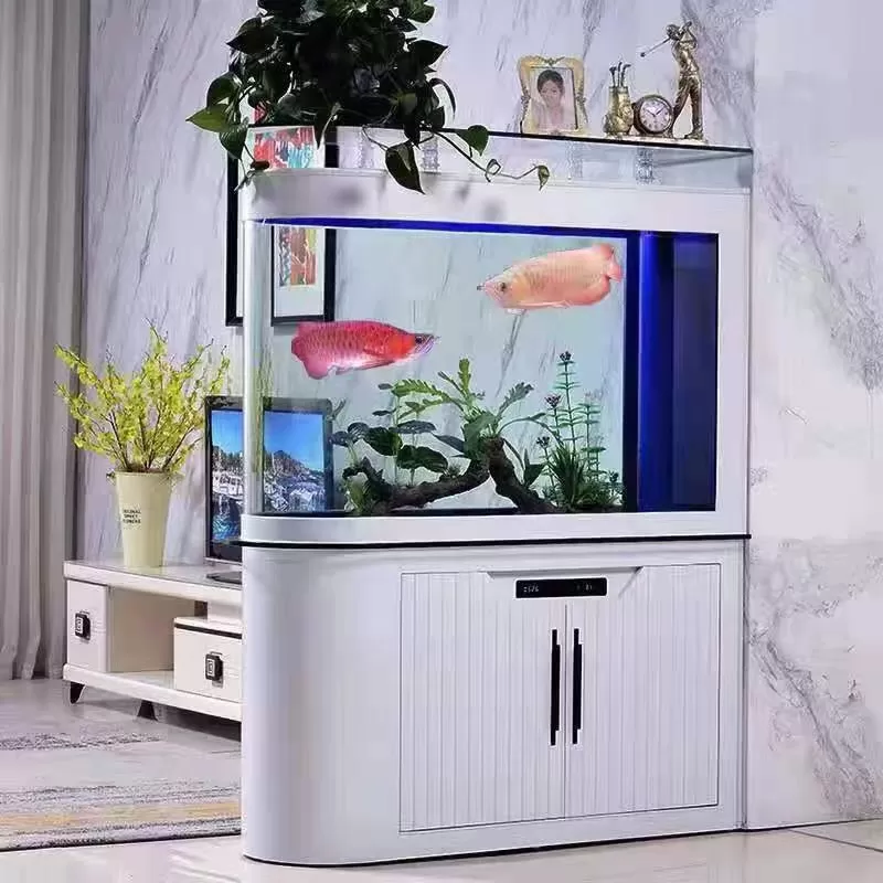 前弧形轻奢落地家用异形龙鱼观赏鱼缸定制