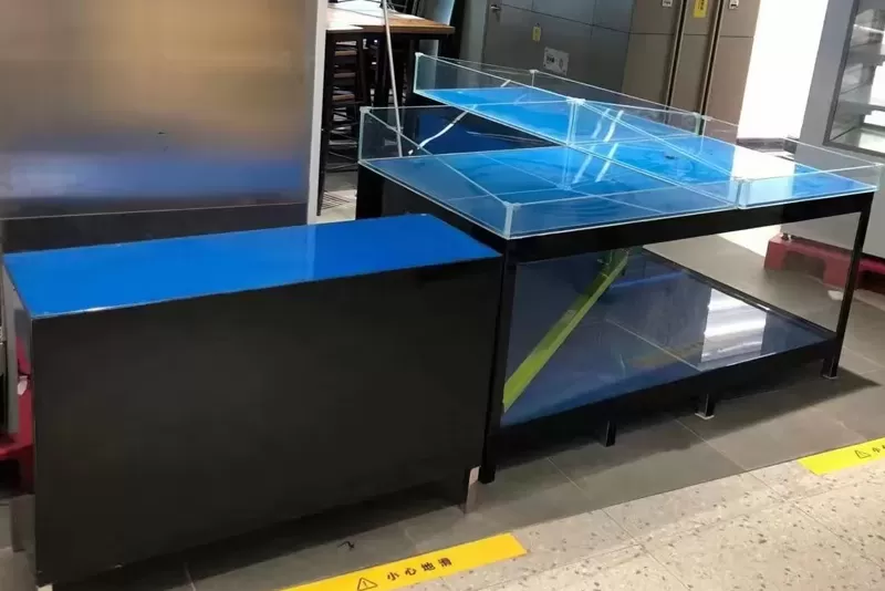鱼缸定制如何破解餐饮转角空间难题？高低分层海鲜池设计指南